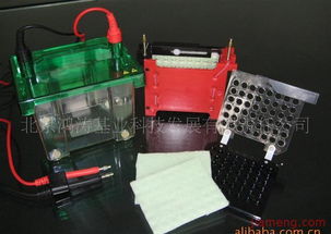 鴻濤基業化妝品加盟連鎖 開啟創業新篇章，火爆招商進行中